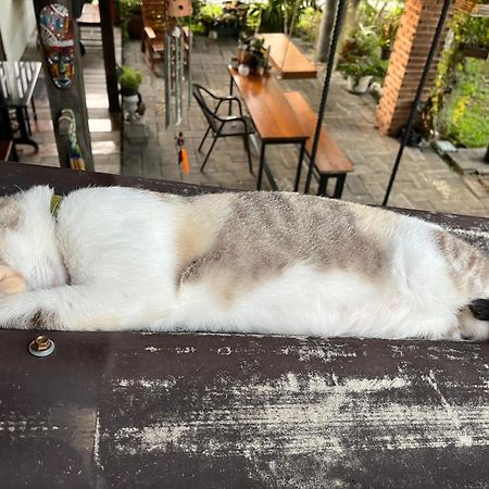 ครูหนูบ้านพัก แหลมงอบ Krunou Baanpak Trat Dış mekan fotoğraf