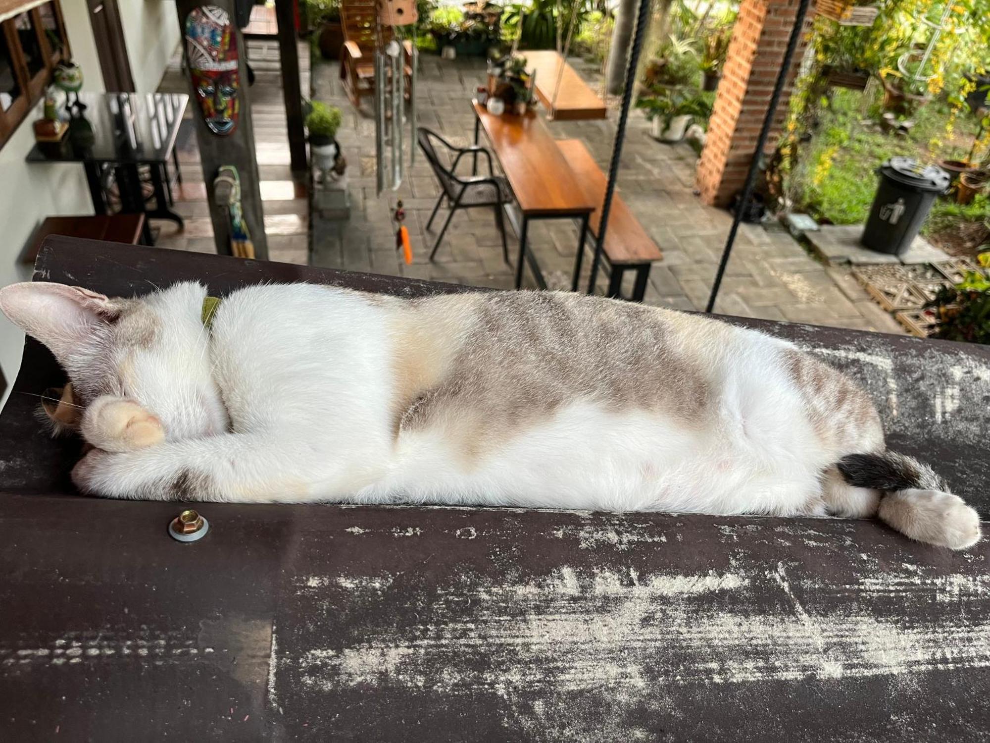 ครูหนูบ้านพัก แหลมงอบ Krunou Baanpak Trat Dış mekan fotoğraf