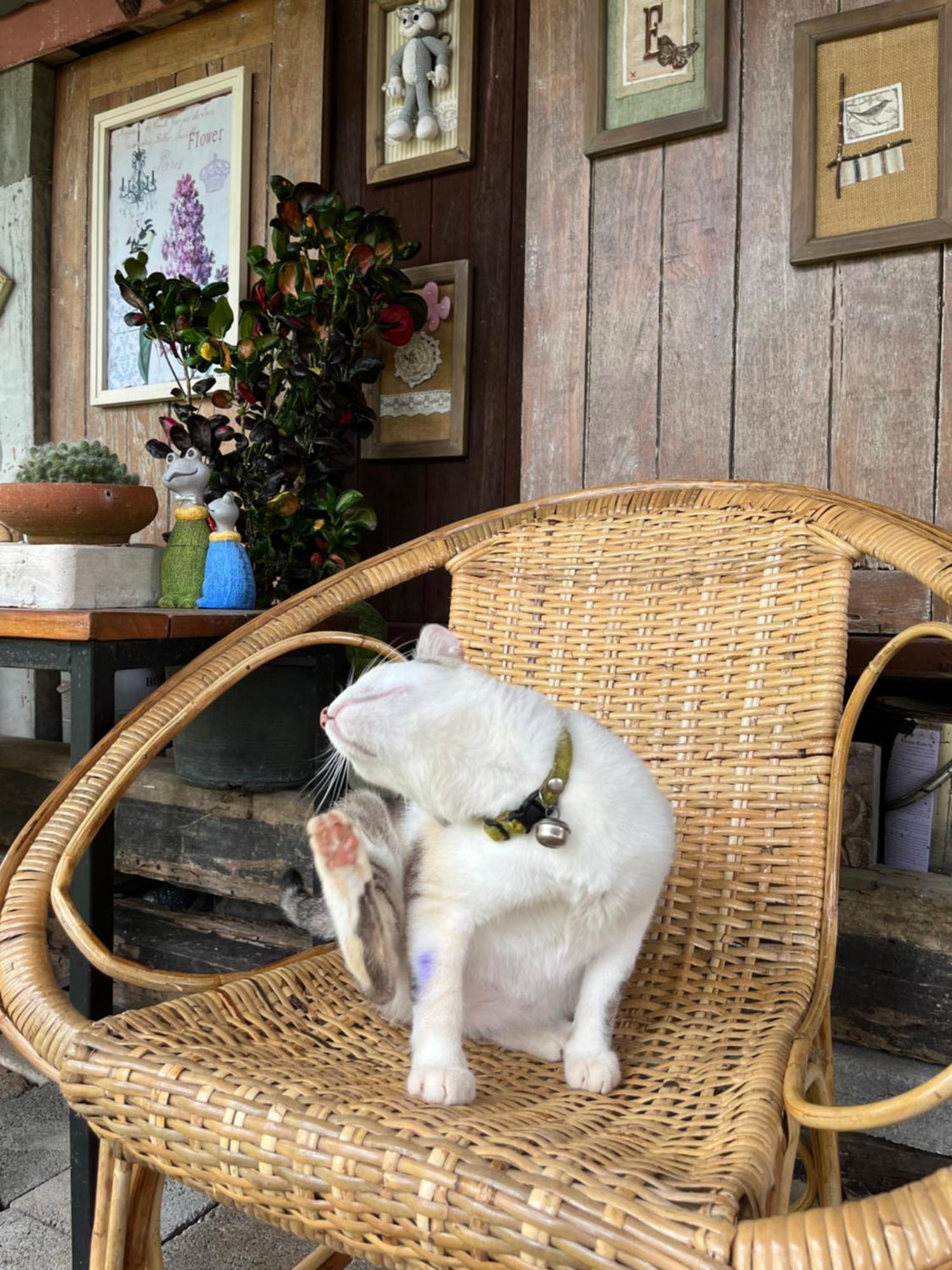 ครูหนูบ้านพัก แหลมงอบ Krunou Baanpak Trat Dış mekan fotoğraf