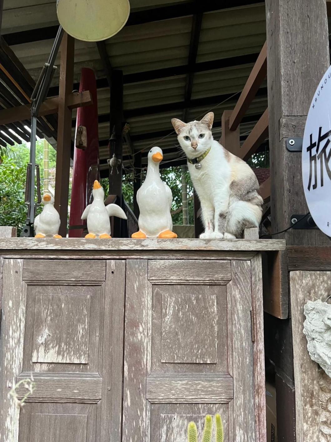ครูหนูบ้านพัก แหลมงอบ Krunou Baanpak Trat Dış mekan fotoğraf