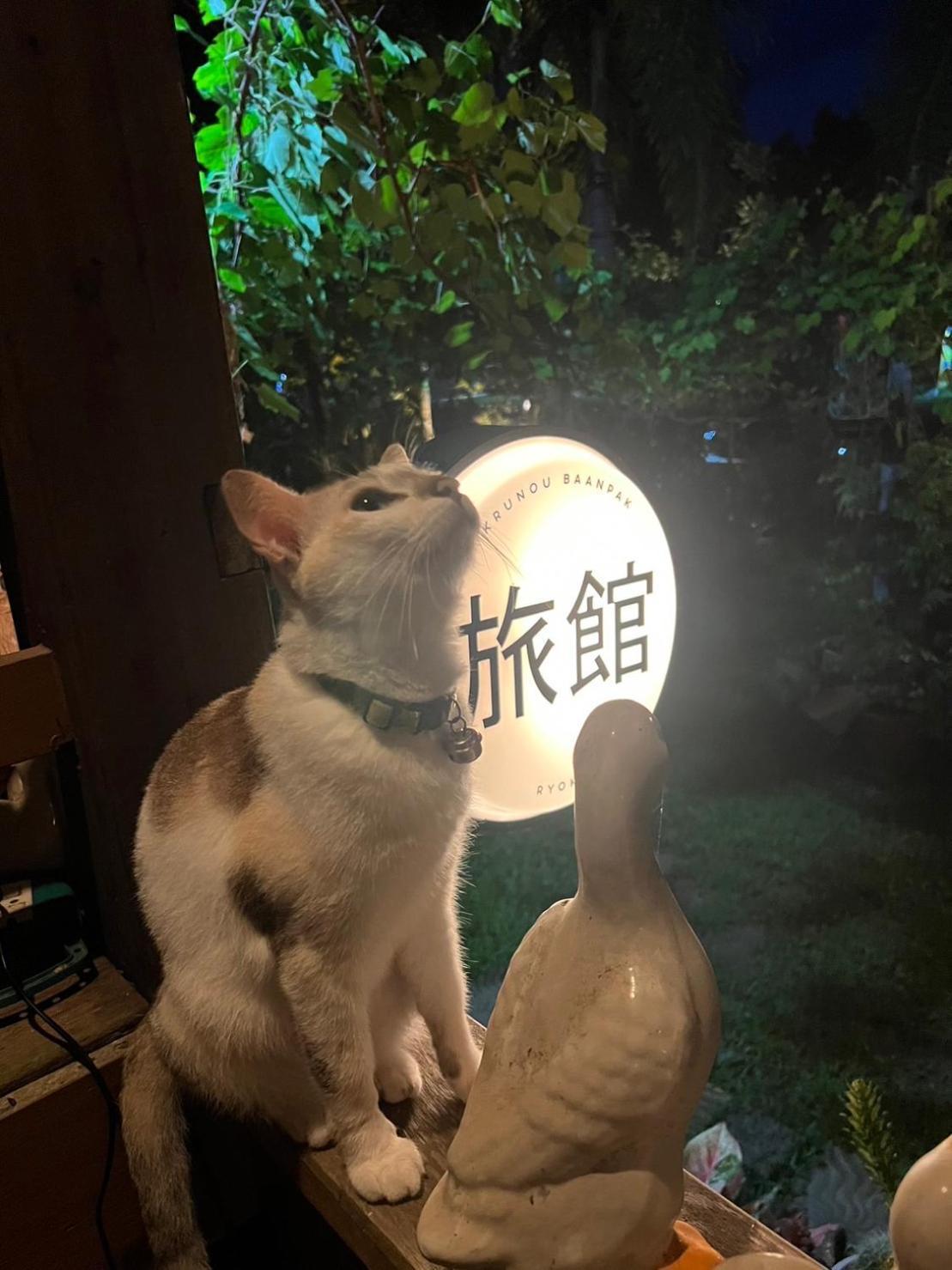 ครูหนูบ้านพัก แหลมงอบ Krunou Baanpak Trat Dış mekan fotoğraf