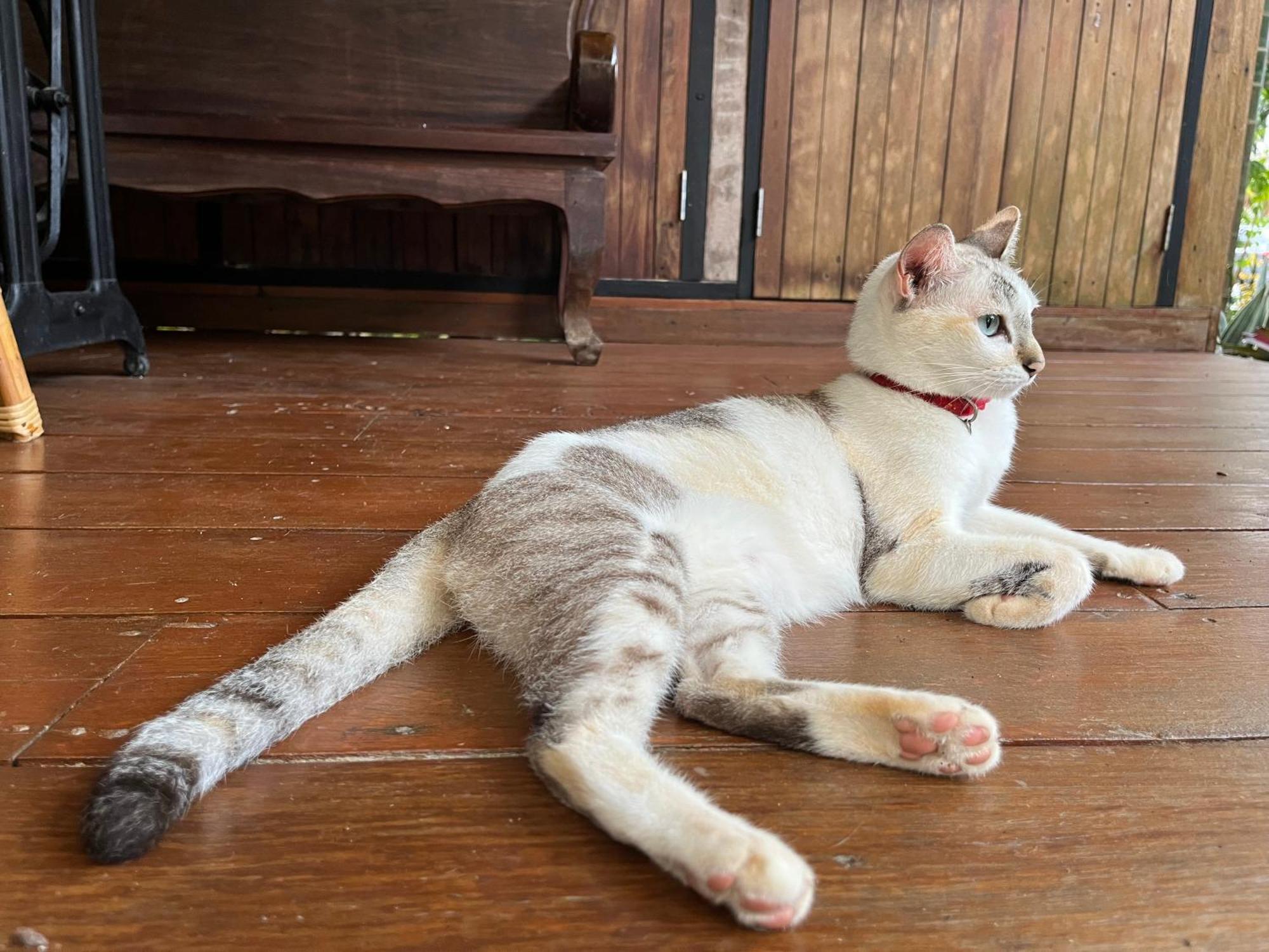 ครูหนูบ้านพัก แหลมงอบ Krunou Baanpak Trat Dış mekan fotoğraf